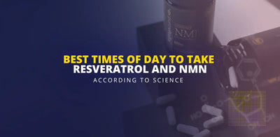 Best Times To Take Resveratrol And NMN - According To Science