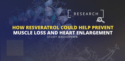 Study Breakdown: How Resveratrol Could Help Prevent Muscle Loss and Heart Enlargement