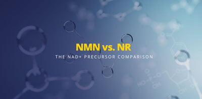 NMN vs NR - The NAD+ precursor comparison