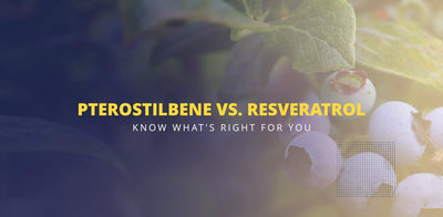 Pterostilbene vs Resveratrol – know what's right for you
