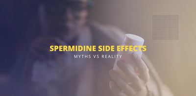 Spermidine Side Effects - Myths vs Reality