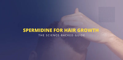 Spermidine for Hair Growth - The Science-Backed Guide