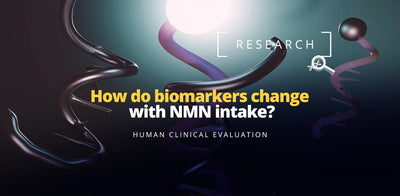 How do biomarkers change with NMN intake?
