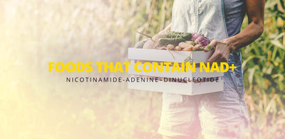 Foods that contain nicotinamide-adenine–dinucleotide (nad+)