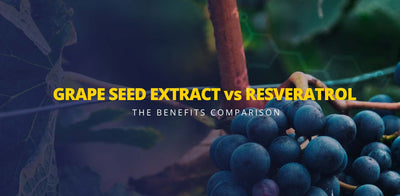 Grape seed extract vs resveratrol - the benefits comparison