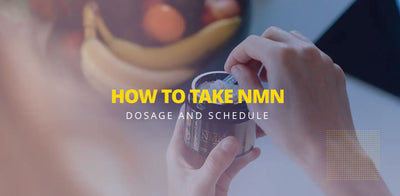 How to take NMN powder - dosage and schedule