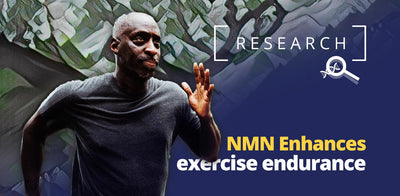 NMN enhances exercise endurance