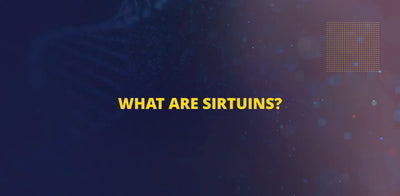 What are Sirtuins?