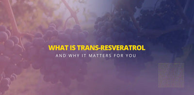 What Is Trans-Resveratrol And Why It Matters For You