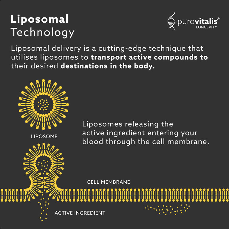 NMN Capsules Liposomal