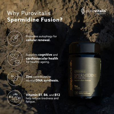 Spermidine Supplement