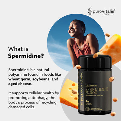 Spermidine Supplement